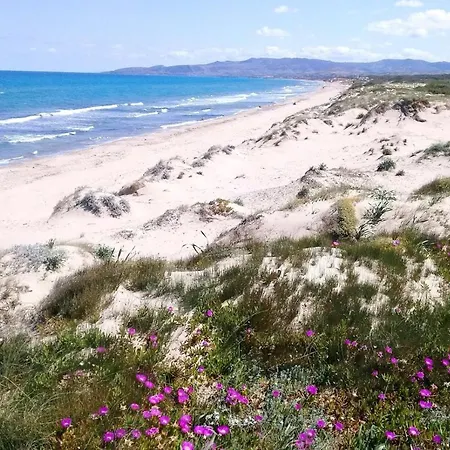 Golfo Asinara 4* Sorso