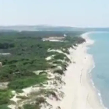 Golfo Asinara ソルソ